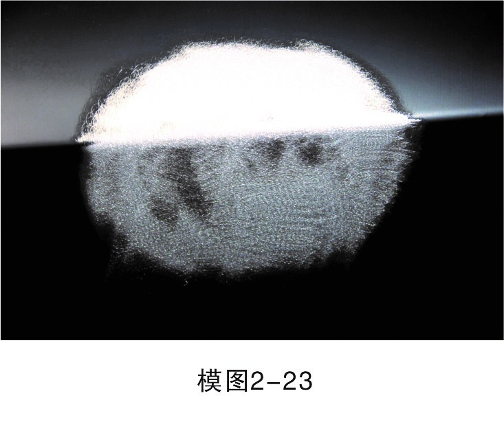 1450941029125145.jpg 16.jpg